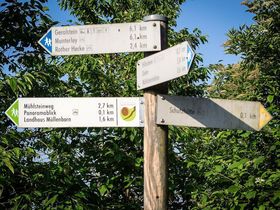 3 Tage | Premium Wandern - in die Socken, fertig, los - Eifelsteig inklusive Abendessen