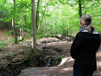 Wandern in der Wingst- die grüne Lunge der Nordsee- 4 Tage