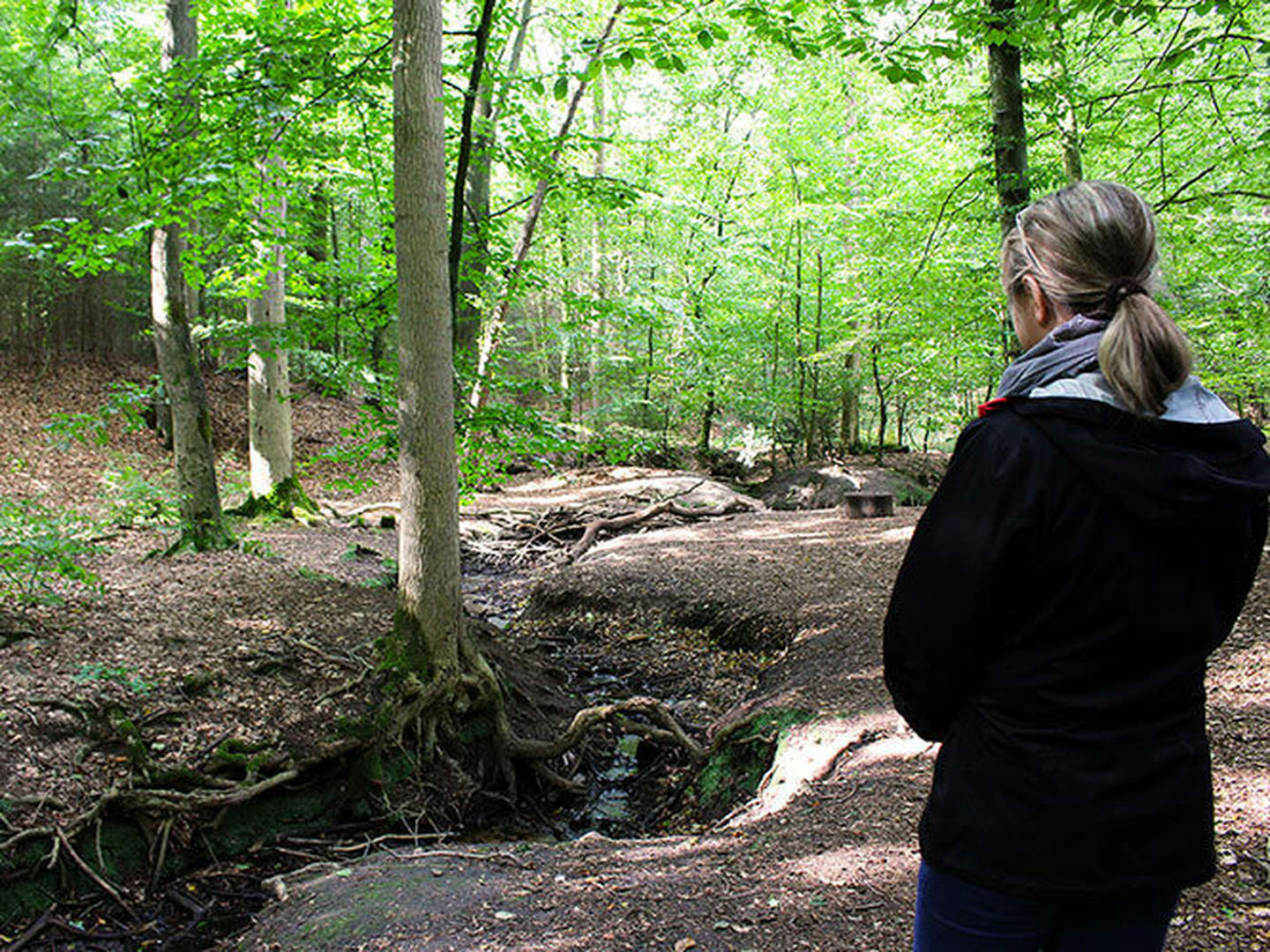 Kurzurlaub mit Hund in der Wingst an der Nordsee