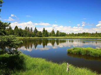 Wellness-Schnupperarrangement im Allgäu