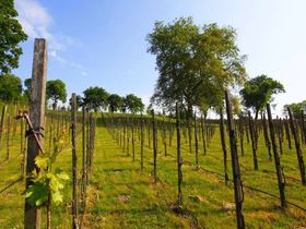 Kleine Auszeit im Hotel Schlosswirt Meseberg - 4 Tage