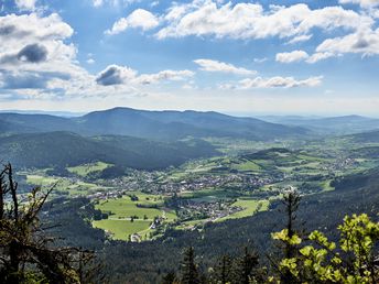 Hoamatgfui - im bayerischen Wald mit Massage - 4 Tage