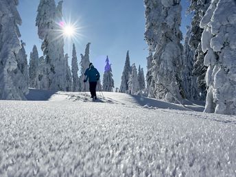 Kennenlerntag im Bayerischen Wald - 2 Tage inkl. Abendessen