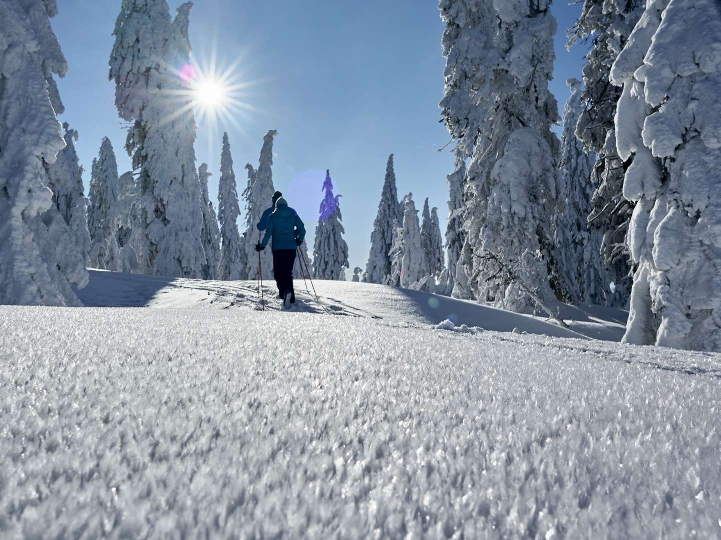 Goldsteig Wandern - inkl. Verwöhn Massage - 6 Tage 2025