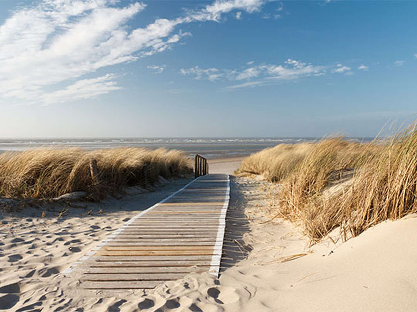 Sehnsucht nach Weite, Meer und Nordsee Luft 