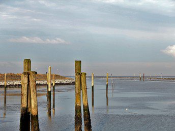 Ostfriesland Spezial - inkl. Wattwanderung und Leihfahrrad