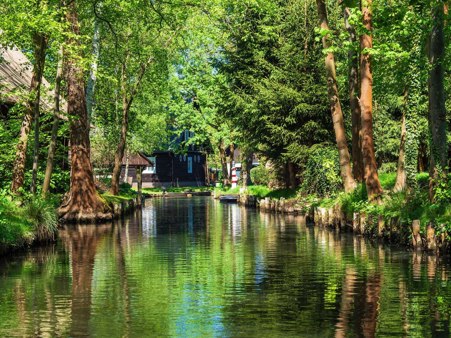 4 Tage Spreewälder Schnuppertour inkl. Kahnfahrt  