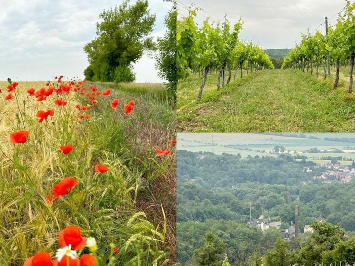 Wanderurlaub in Thüringen - 4 Tage