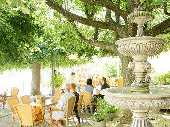 Romantik an der Elbe - 5 Tage im Hotel Elbterrasse Wachwitz 