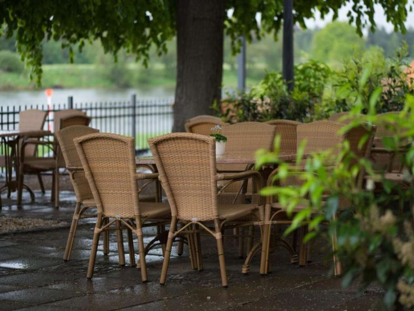 Romantik an der Elbe - 5 Tage im Hotel Elbterrasse Wachwitz 