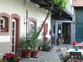 Das Wandern ist... auch meine Lust - 3 Tage durch die Pfalz