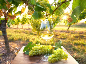 Bin mal kurz weg - 2 Tage Erholung in der Pfalz!