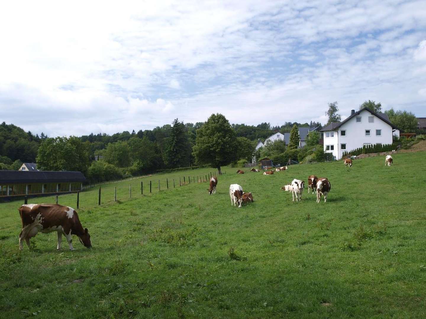 Deine Auszeit im Grünen | Willingen und das Sauerland 4 Tage