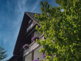 Deine Auszeit im Grünen | Willingen und das Sauerland entdecken - 4 Tage