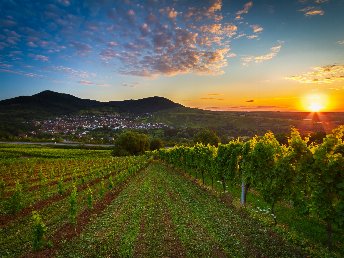 Auszeit in der Pfalz inkl. Halbpension