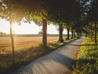 Kurzurlaub - den gönn ich mir! Radfahr-Paradies am Rhein inkl. Routenplan