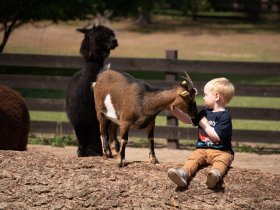 Zeit für das Wir:  Mecklenburger Seen- Woche