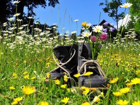 All inklusive in der Eifel - 5 Tage 