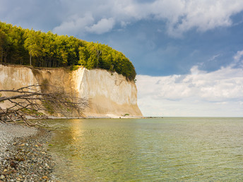 Kurzurlaub auf Rügen -hoch hinaus auf dem Baumwipfelpfad