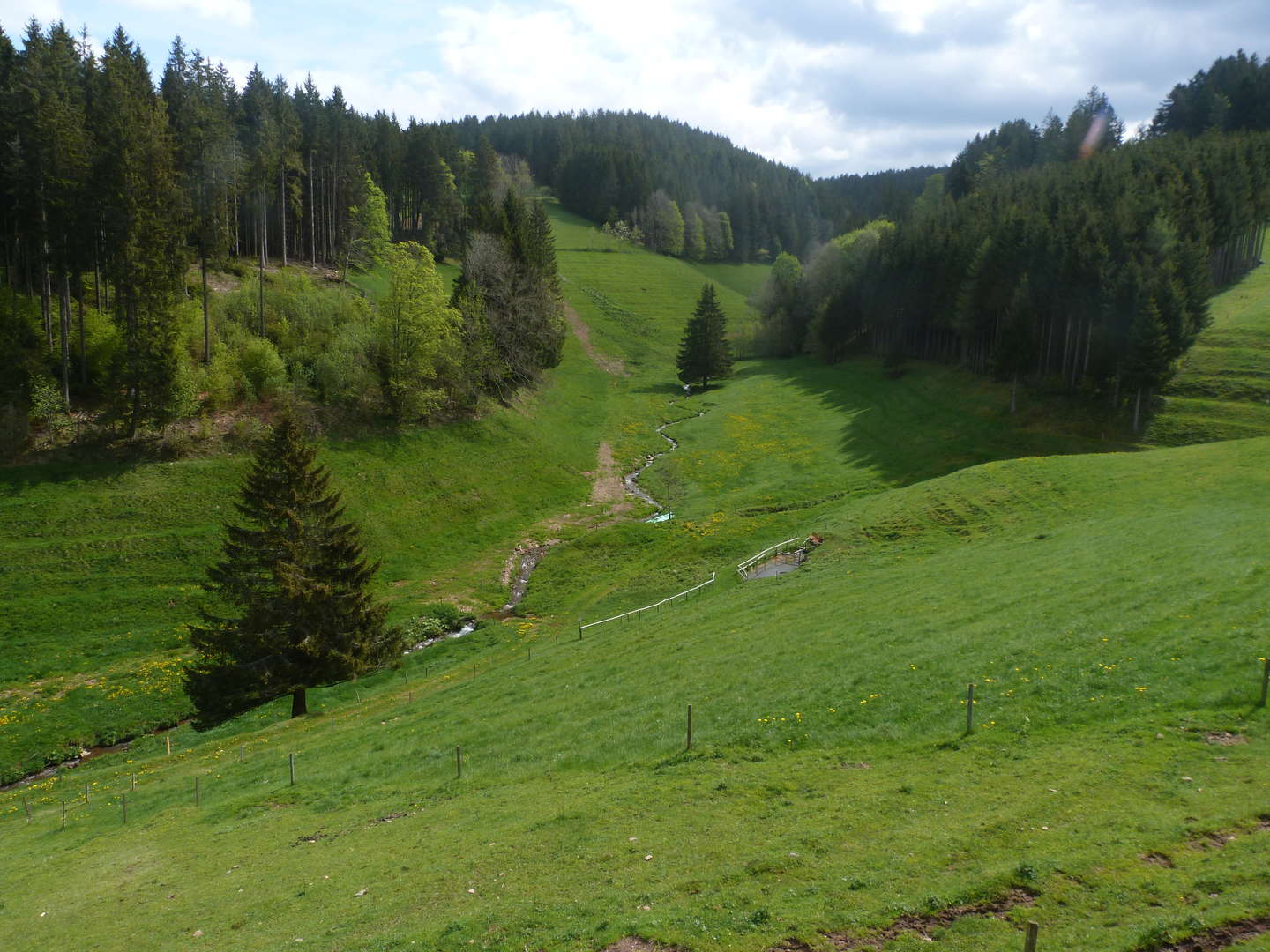 3 Erholungstage im Schwarzwald