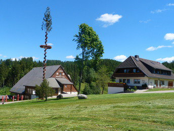 3 Erholungstage im Schwarzwald