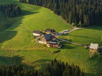 3 Erholungstage im Schwarzwald