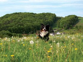 Romantischer Kuscheltag für Zwei in Krombach
