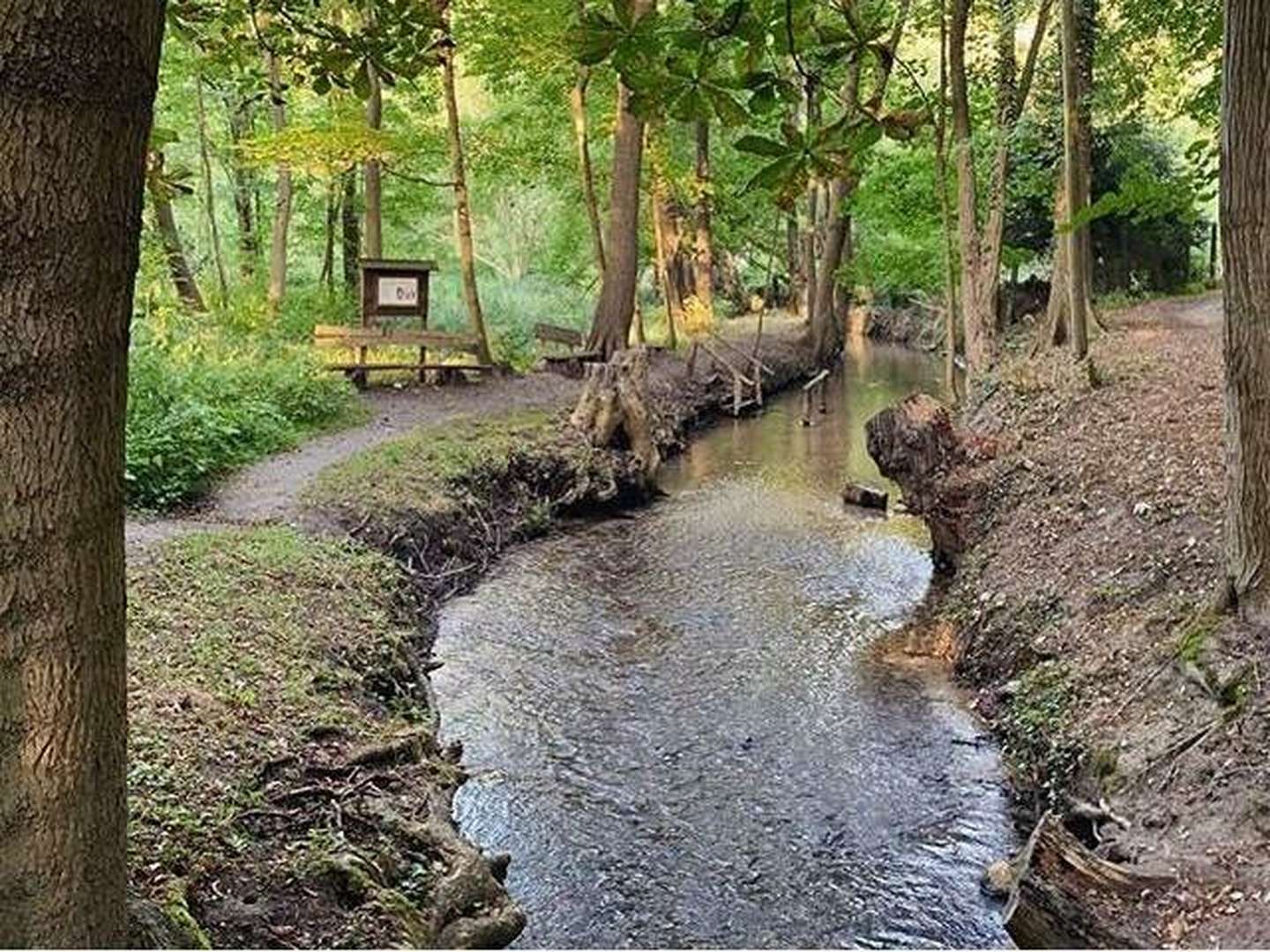 Frische Brise auf dem Schermützelsee - 3 Tage  