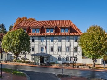 Herbst und Winter im Naturpark Steinhuder Meer