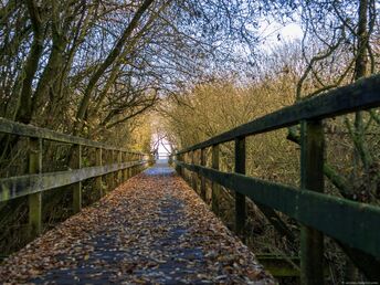 Herbst und Winter im Naturpark Steinhuder Meer