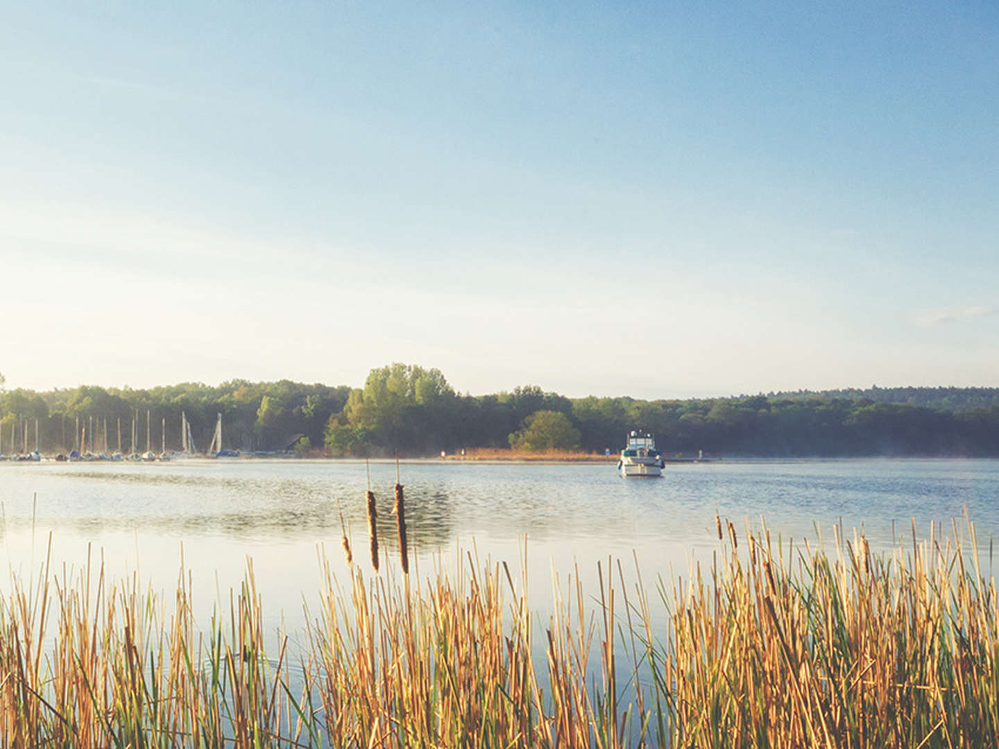 Herbst und Winter im Naturpark Steinhuder Meer