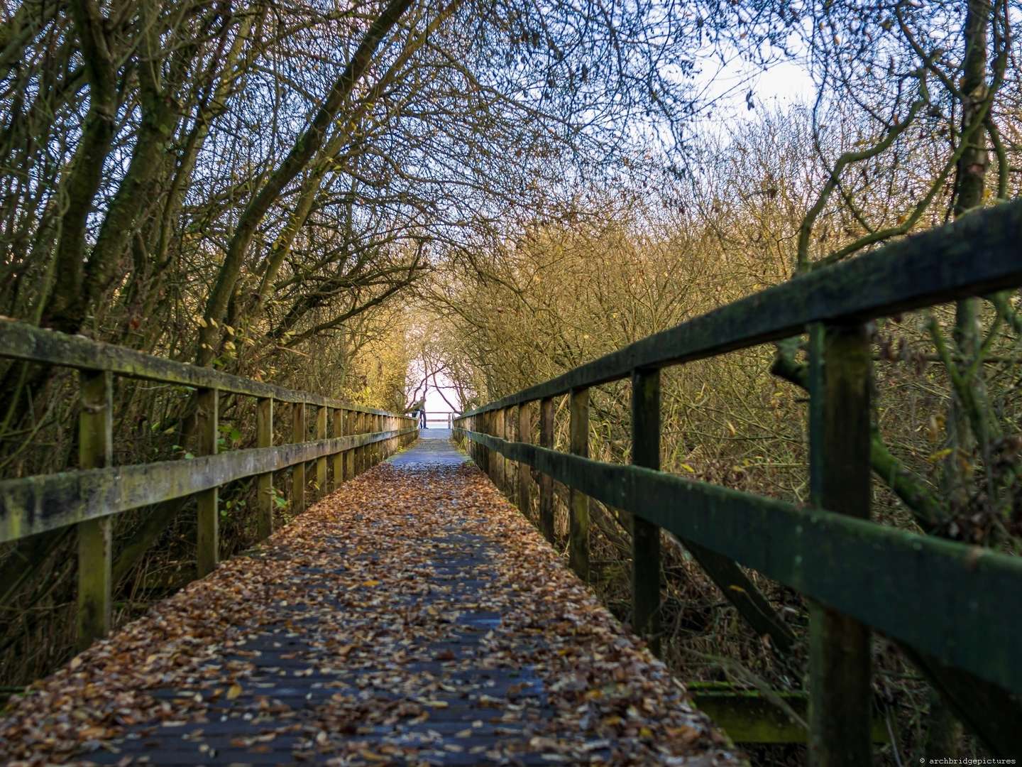 Herbst und Winter im Naturpark Steinhuder Meer