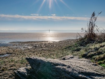 Herbst und Winter im Naturpark Steinhuder Meer