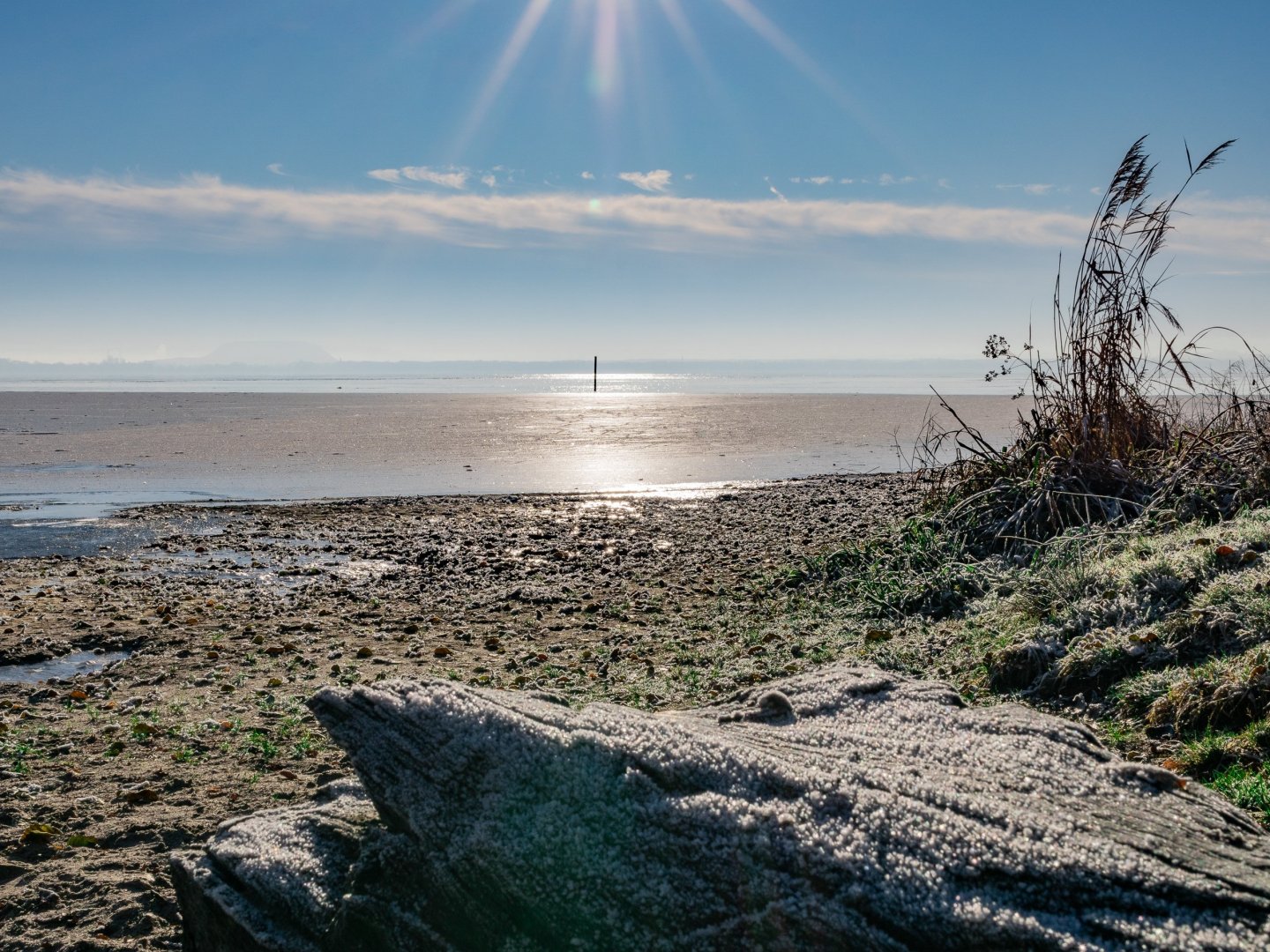 Herbst und Winter im Naturpark Steinhuder Meer