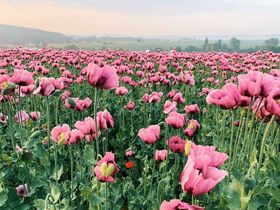 Kennenlern-Arrangement 