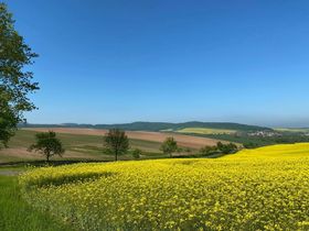 Kennenlern-Arrangement 