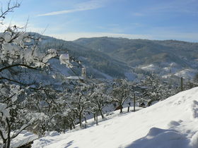 Schwarzwald im Herbst & Winter -  Natur, Genuss & Entspannung 