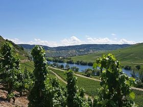 5=4 Schnäppchen an der Mosel - 1 Nacht geschenkt