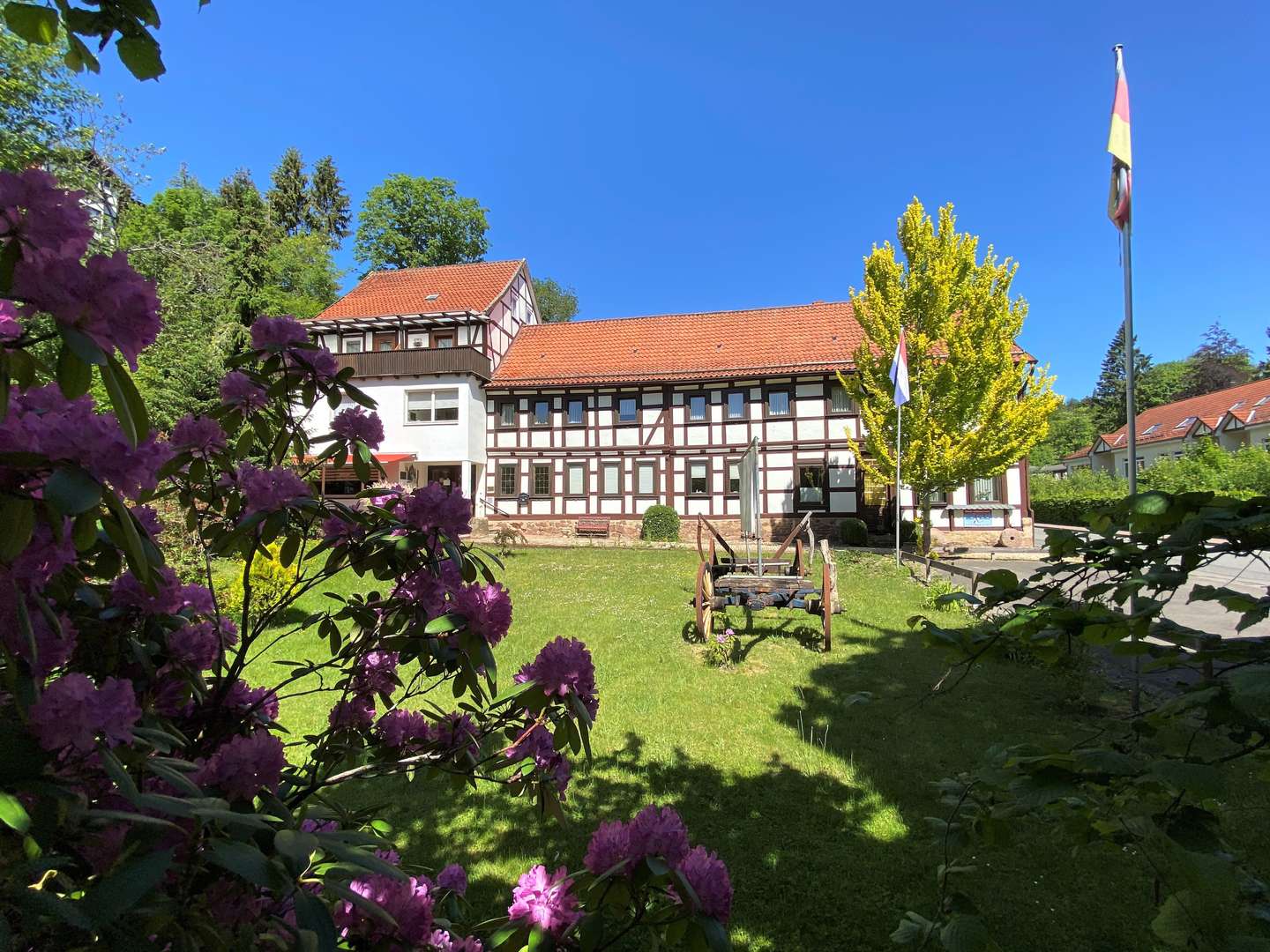 Mit dem Bike durch den Harz inkl. Halbpension