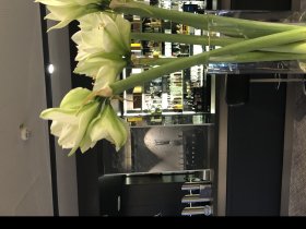 Wohlfühlwochenende an der Romantischen Straße im Süden von Augsburg