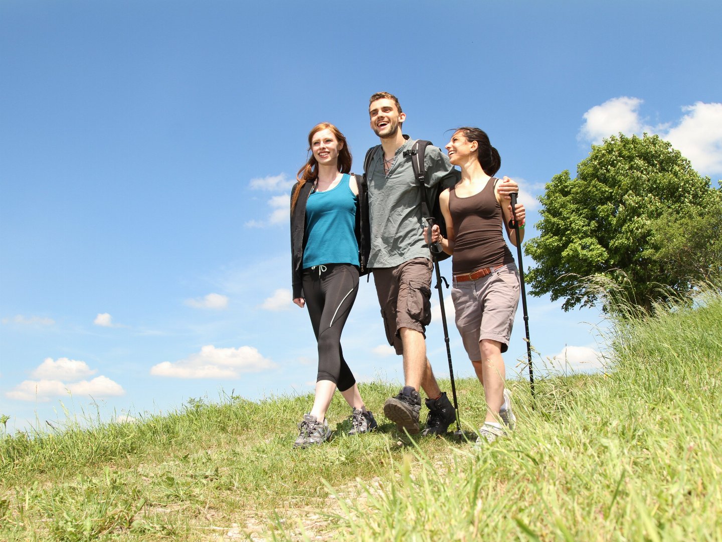 Wander-Wochen im Hochsauerland inkl. Vollpension | 6 Tage