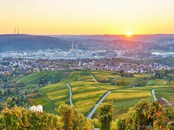 Wandern durch die Weinberge im Remstal bei Stuttgart 6 Tage