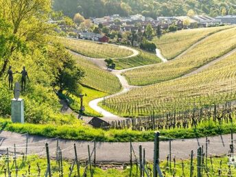 8 Tage in Weinstadt - erkunden Sie Stuttgart, Ludwigsburg und den Neckar