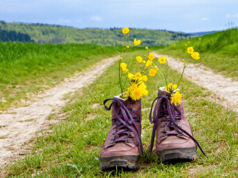 Wandern durch die Weinberge im Remstal bei Stuttgart 7 Tage