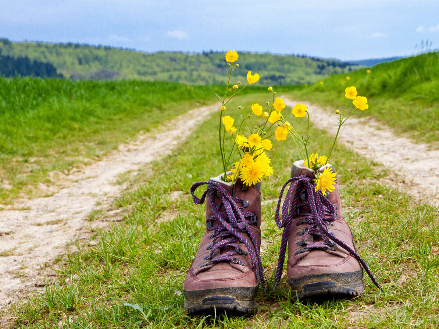 Wandern durch die Weinberge im Remstal bei Stuttgart 7 Tage