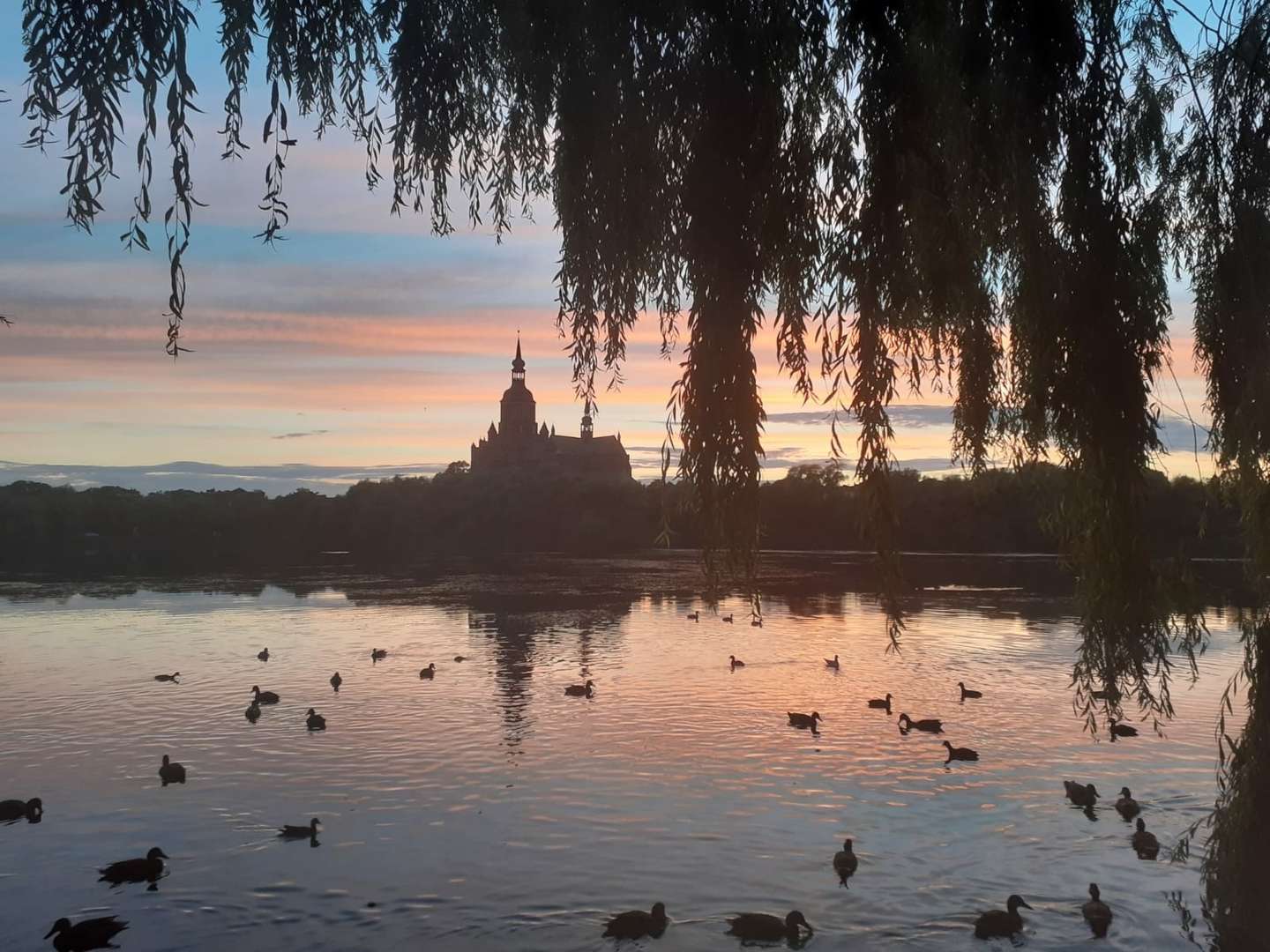 Hansestadt Stralsund & Mee(h)r erleben Oktober