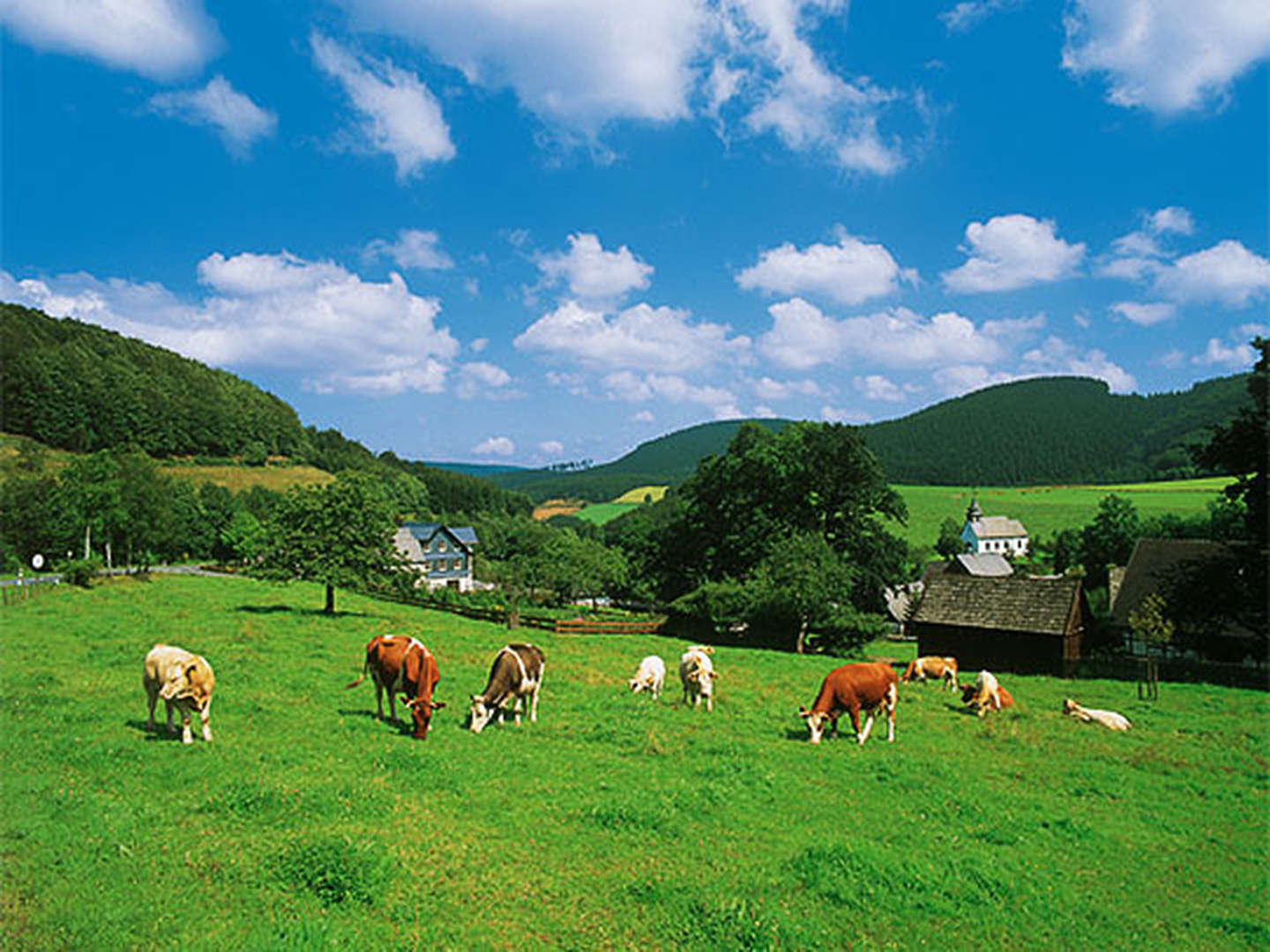 Wandern auf dem Rothaarsteig im Sauerland | 8 Tage inkl. Sauerland Card