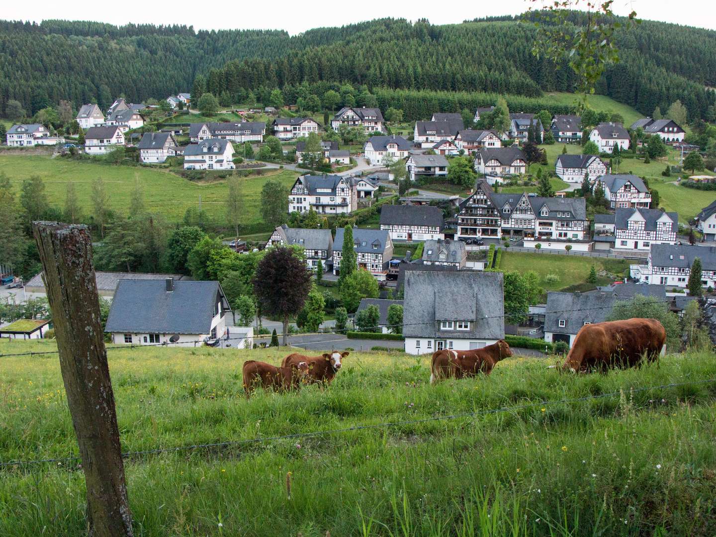 Wandern auf dem Rothaarsteig im Sauerland | 8 Tage inkl. Sauerland Card