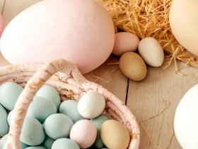 3 Tage Ostern an der Havel 2026