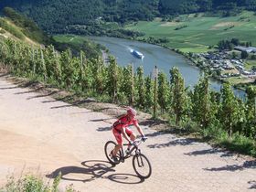 Rad Aktivurlaub an der Mosel, Saar und Ruwer 2026